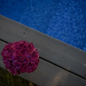 Mariage Au Bord De La Piscine