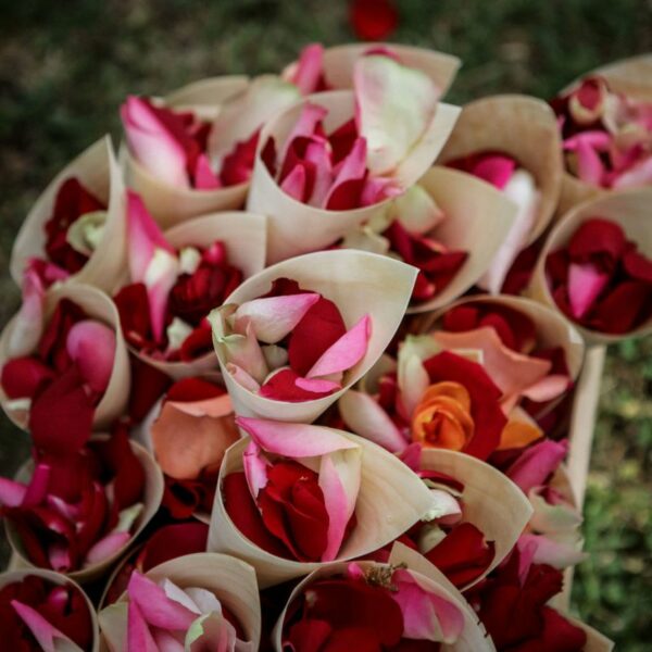 Pétales De Roses à Lancer Pour Une Cérémonie De Mariage