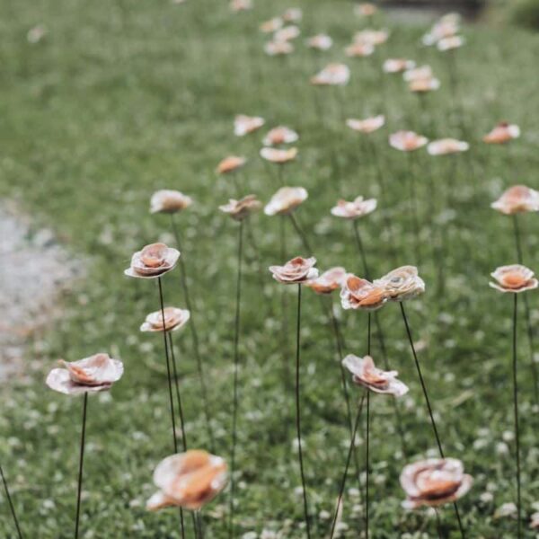 Une Rose Pour La Planète