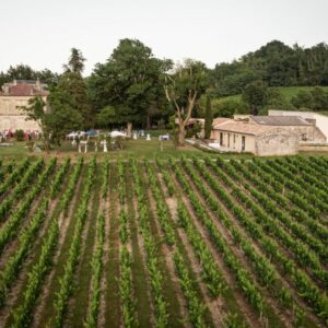 Vue Sur Les Vignes De Bordeaux Pendant Le Mariage