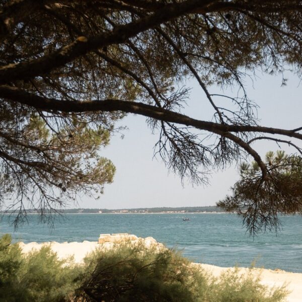 Paysage De La Cabane Bartherotte